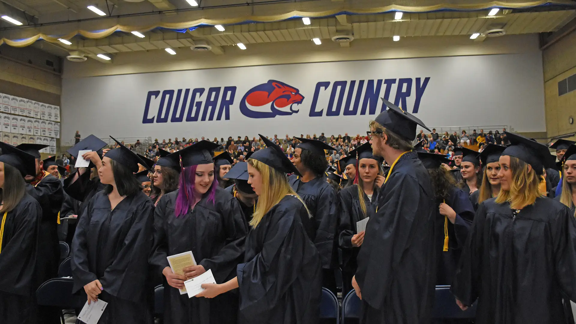 Zoom background of CCC graduates in the Randall gym with the Cougar Country banner in the background