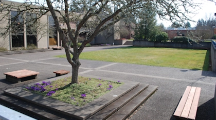 Picture of the Barlow Quad