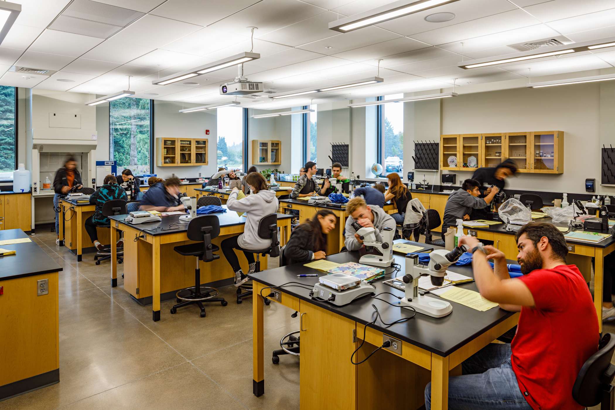 A busy chemistry lab, students at their microscopes