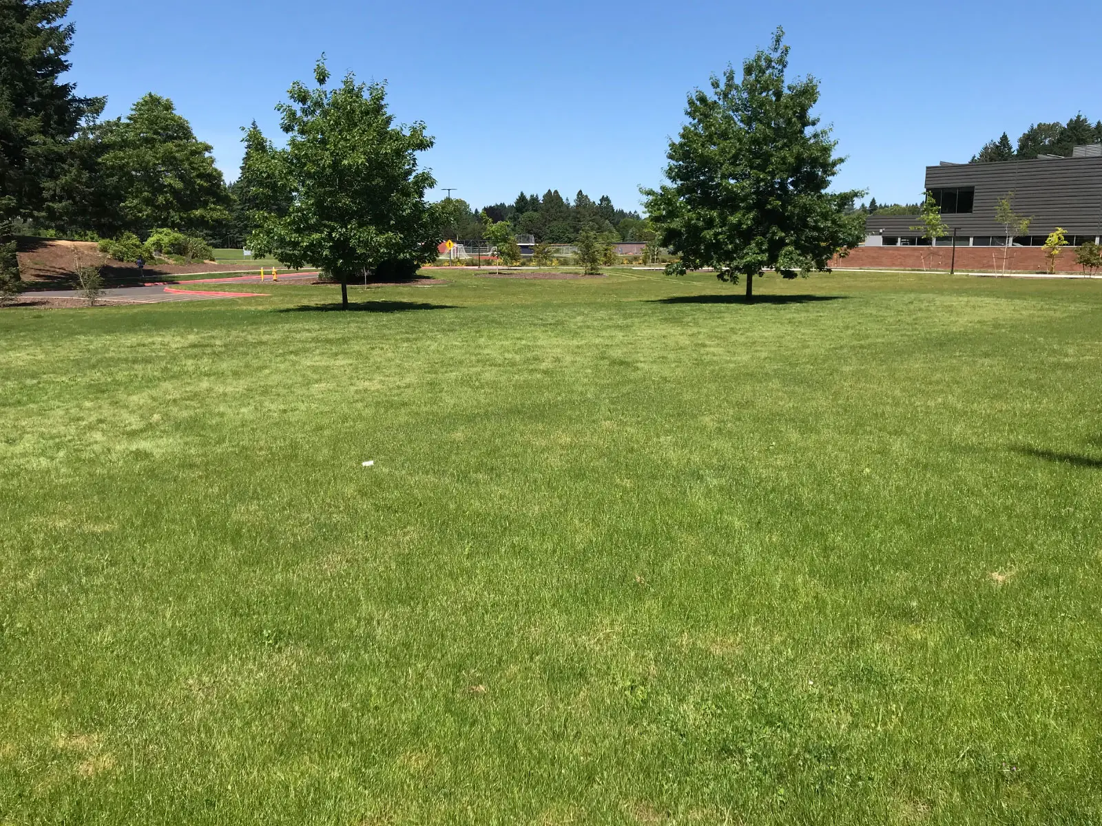 An open field of green grass next to the Industrial Technology Center with lush trees at the Oregon City campus