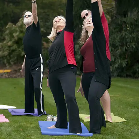 Group of older adults practicing yoga outdoors