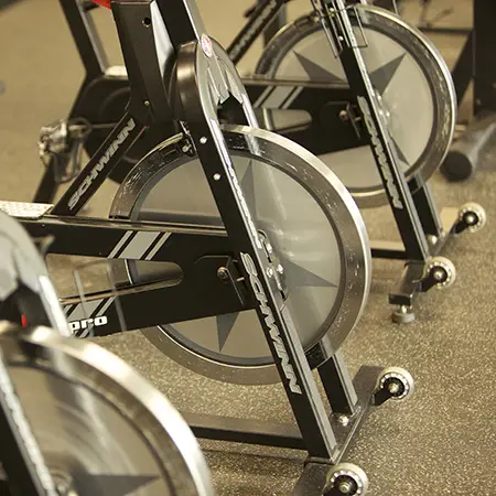 Exercise bikes in a gym.