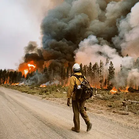 Firefighter walking down a road next to burning forest.