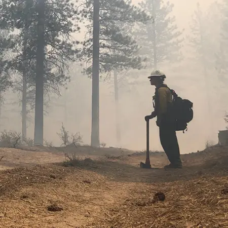 Firefighter standing in a smoky pine forest with their axe and backpack full of gear.
