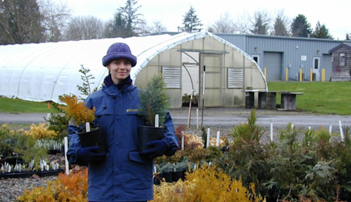 Person holding plants in a garden